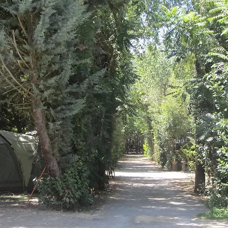 Campsite Camping La Capea